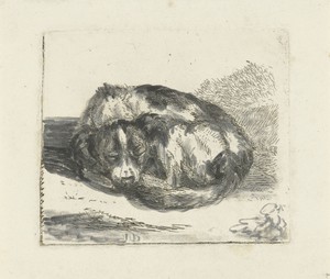 Slapende hond