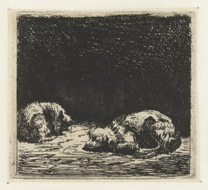 Slapende hond en kat