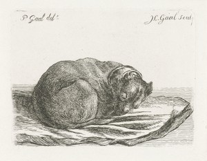 Slapende hond, liggend op een deken