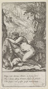 Slapende Venus en Amor