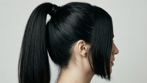 Sleek Black Ponytail