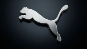 Sleek Puma Logo