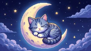 Sleepy Cat on Moon