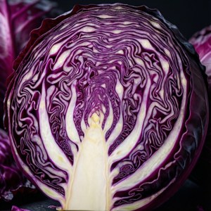 Sliced Purple Cabbage