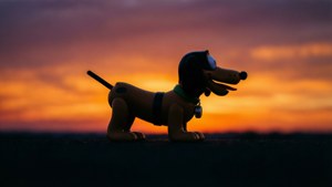 Slinky Silhouette Sunset