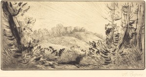 Small Hill (Le coteau)