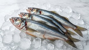 Smelt Sushi Style