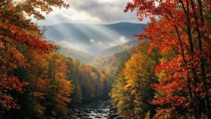 Smoky Mountains Fall
