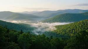Smoky Mountains Mist