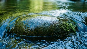 Smooth River Rock