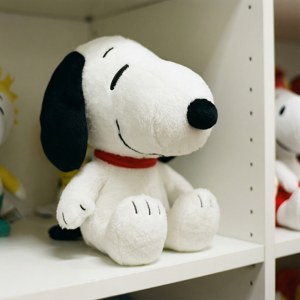 Snoopy Plush Close-Up