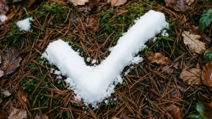 Snow Check Mark