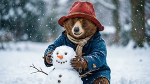 Snow Day