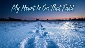 Snow Field