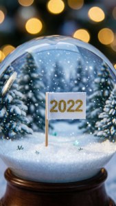 Snow Globe 2022