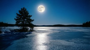 Snow Moon Night
