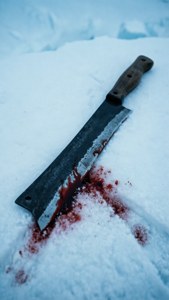 Snow Stain