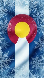 Snowflake Flag Winter