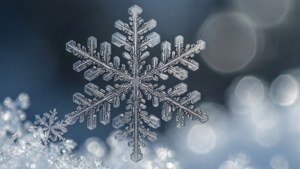 Snowflake Macro Detail