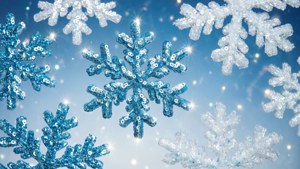 Snowflake Sequin Winter