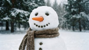 Snowman Blook Winter