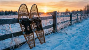 Snowshoes at Sunset