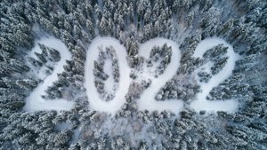 Snowy 2022 Forest