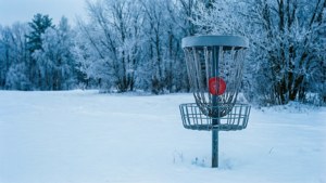 Snowy Basket Scene