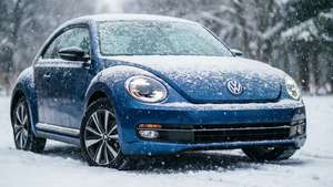Snowy Beetle Serenity