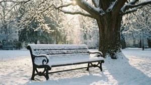 Snowy Bench Serenity