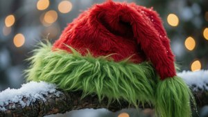 Snowy Branch Grinch Hat