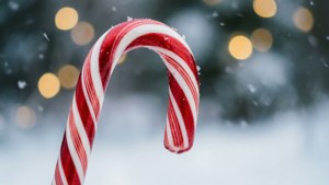 Snowy Candy Cane
