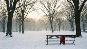Snowy Central Park Serenity