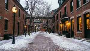 Snowy Distillery District