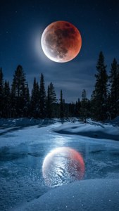 Snowy Eclipse Night