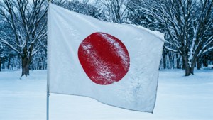 Snowy Flag
