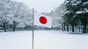 Snowy Flag Scene