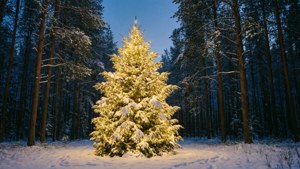 Snowy Forest Christmas Tree