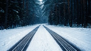 Snowy Forest Path
