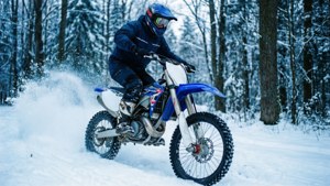 Snowy Forest Ride