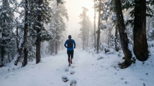Snowy Forest Run
