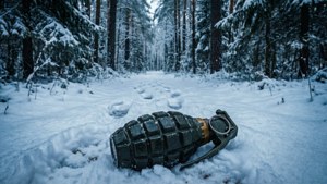Snowy Forest Standoff