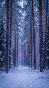Snowy Forest Twilight