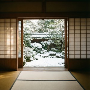 Snowy Garden View