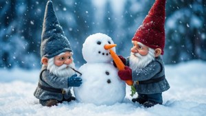 Snowy Gnome Fun