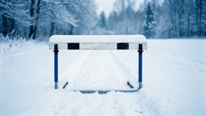 Snowy Hurdle Solitude