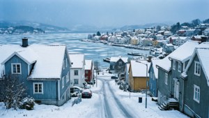 Snowy Larvik
