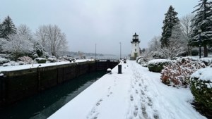 Snowy Locks