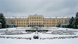 Snowy Majesty