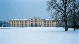 Snowy Majesty at Schonbrunn